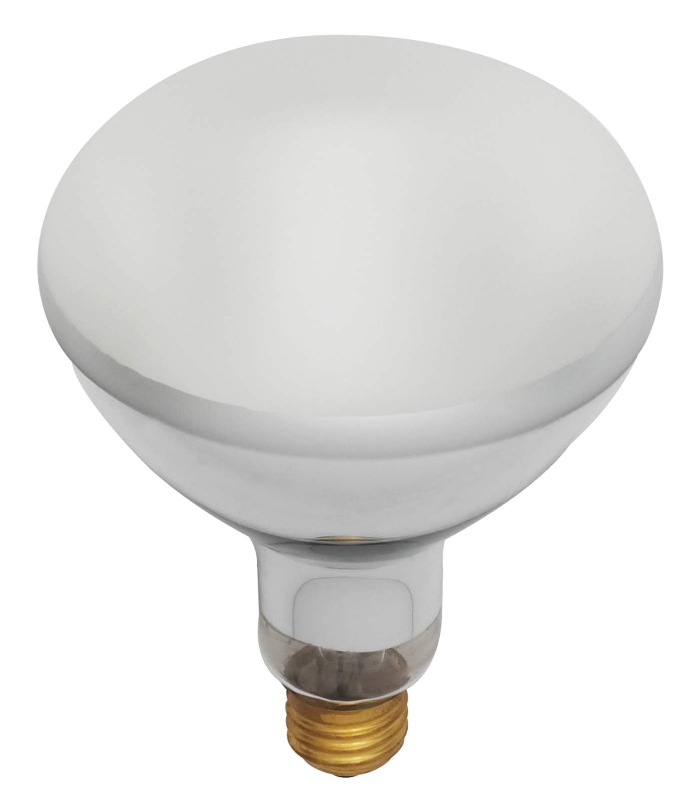 300BR40/FL/130V POOL LAMP - S7003
