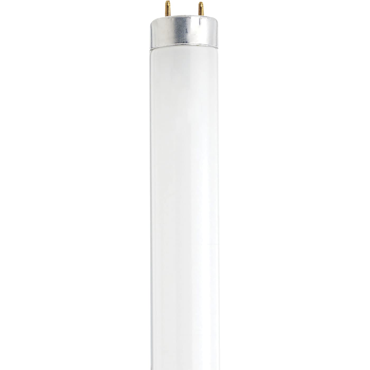 F13T8/CW 12IN 304MM - S7920