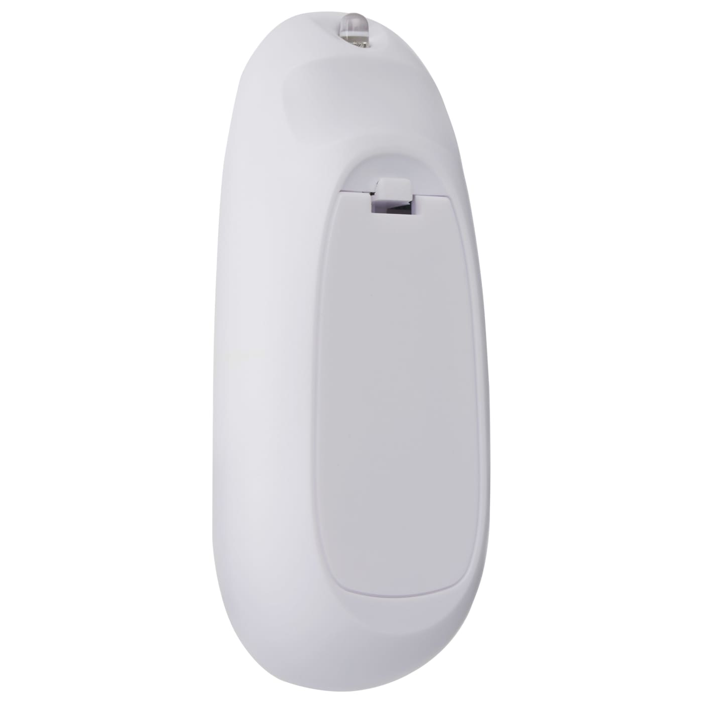 24FT/LED/SL/S14/IRR/RGBW/12 - S8031