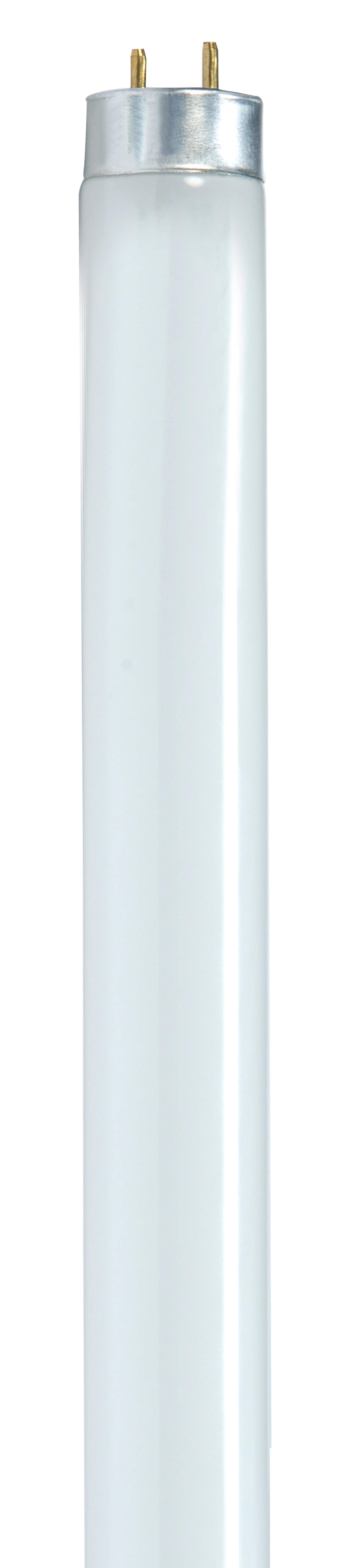 F25T8/735/ENV - S8408