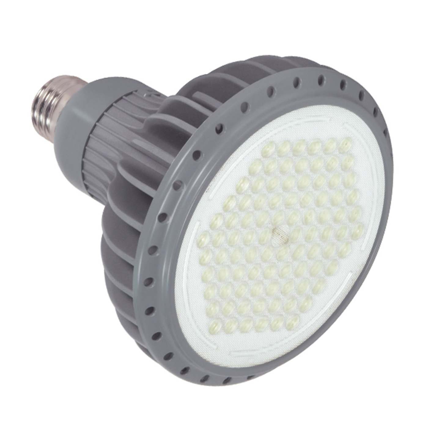 10PAR38/LED/40'/2700K/GRAY D - S8865