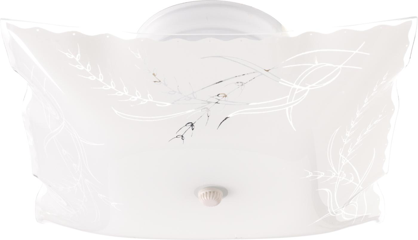 2 LIGHT 12" CEILING FIXTURE - SF76-270