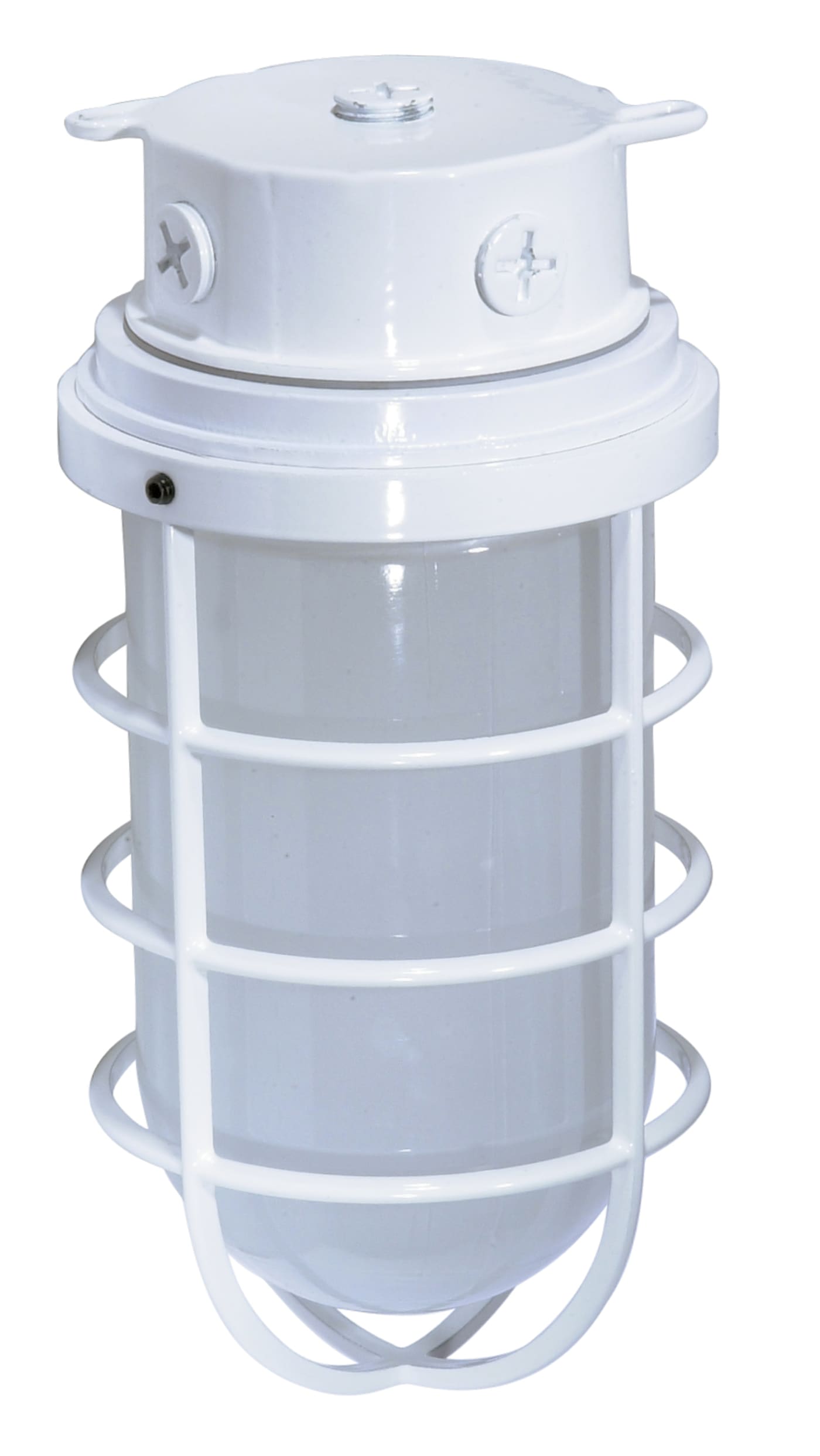 1 LT LARGE VAPOR PROOF SURFACE - SF76-618