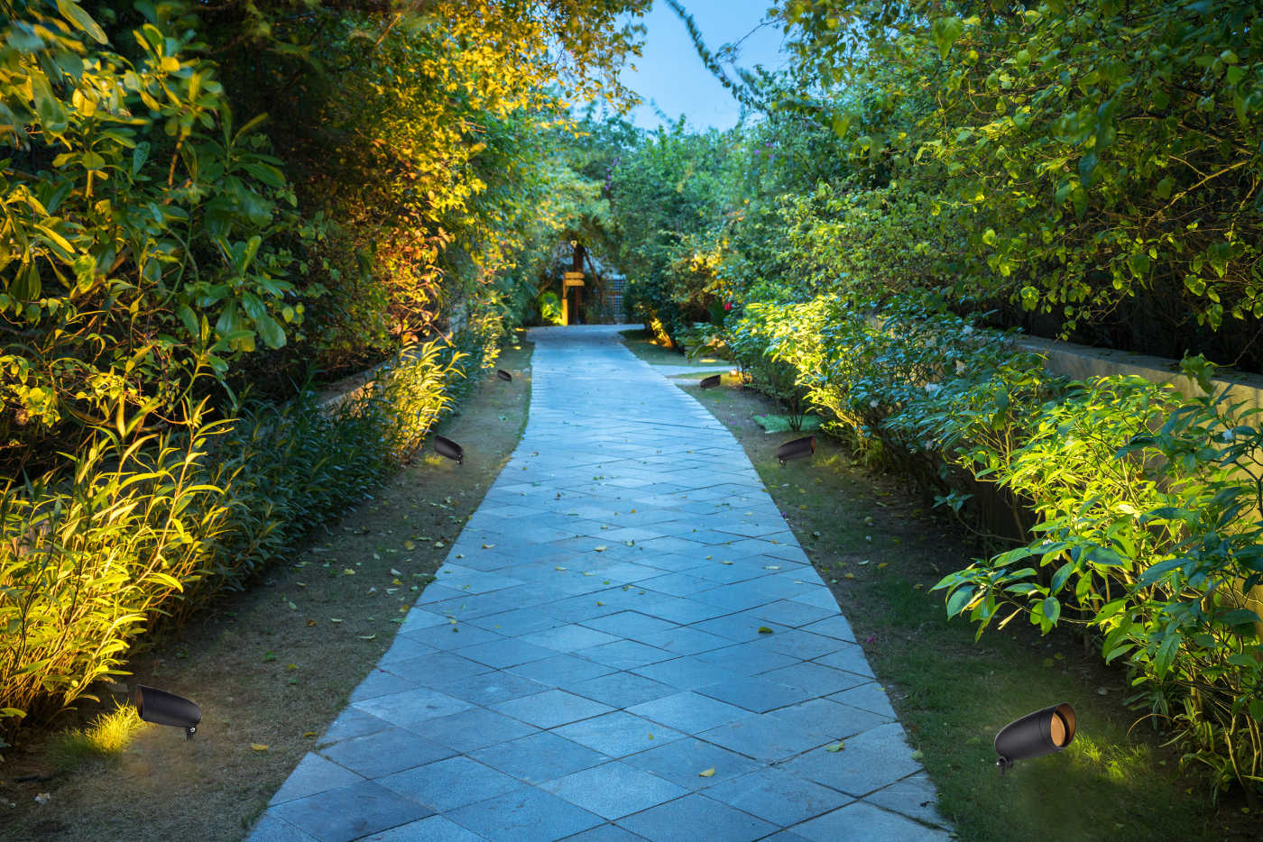 1 LIGHT PAR20 LANDSCAPE FLOOD - SF76-646