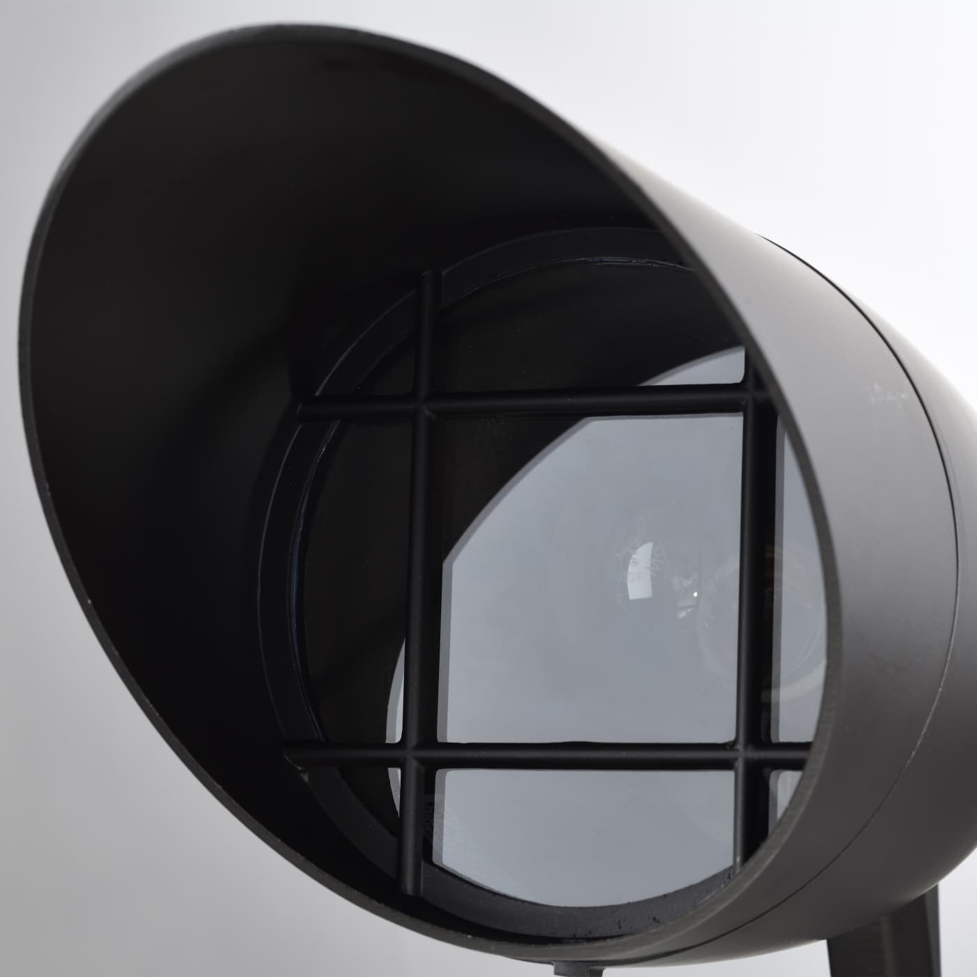 1 LIGHT PAR38 LANDSCAPE FLOOD - SF76-648