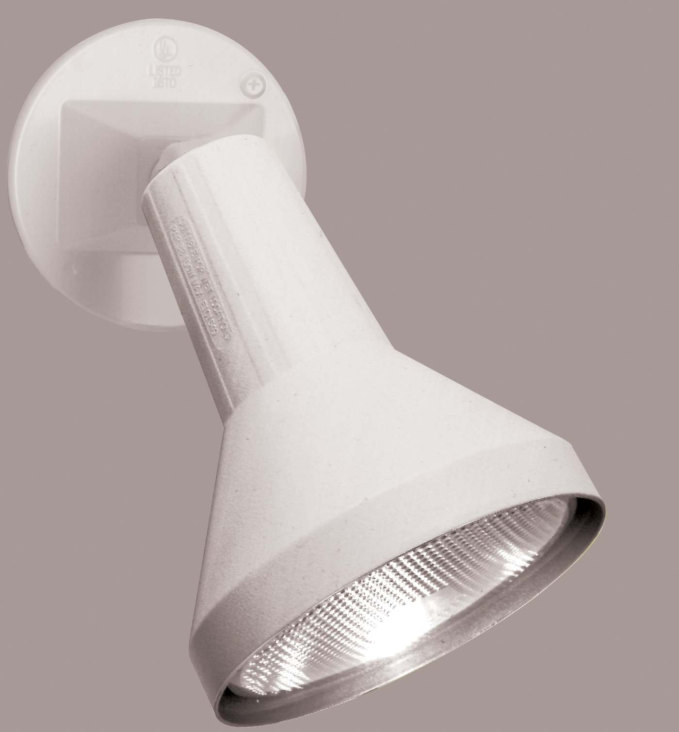 1 LIGHT 8" PAR38 FLOODLIGHT - SF77-487