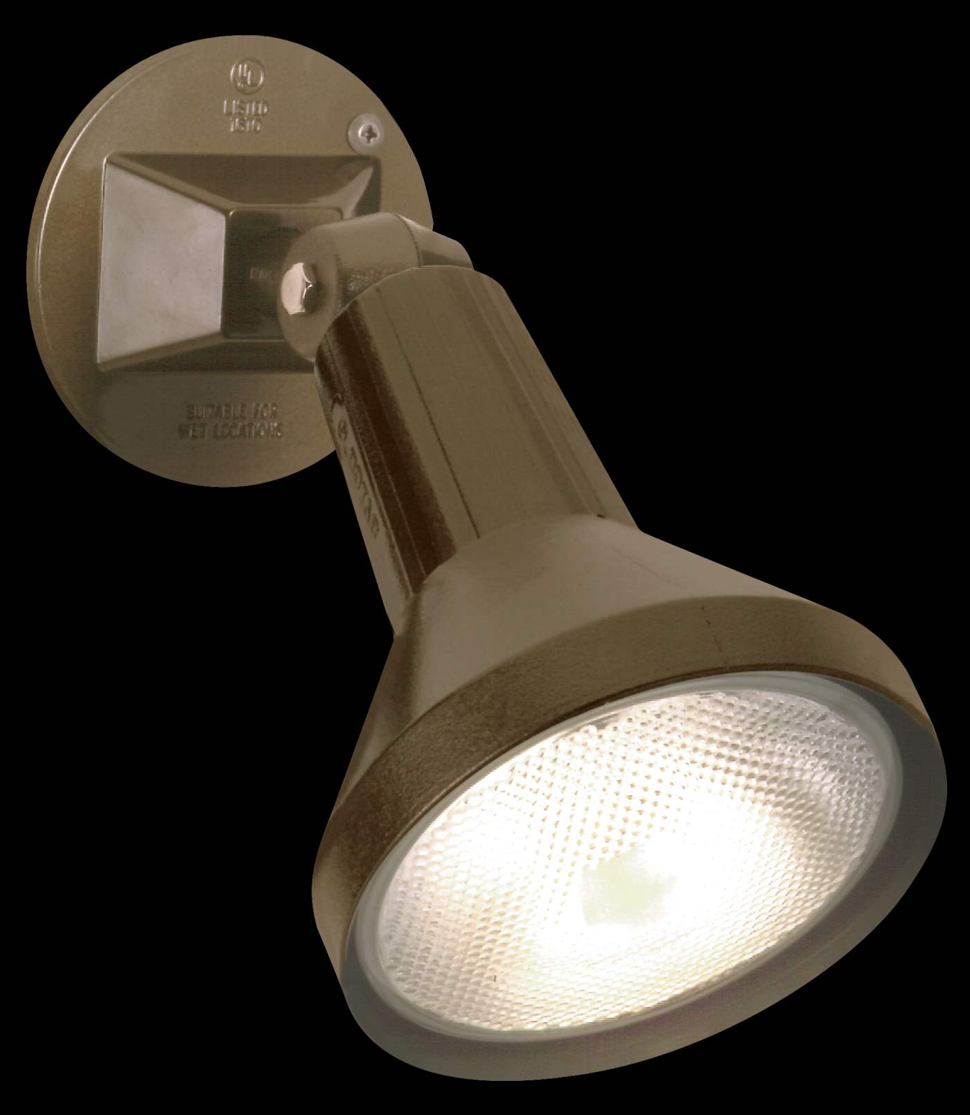 1 LIGHT 8" PAR38 FLOODLIGHT - SF77-494