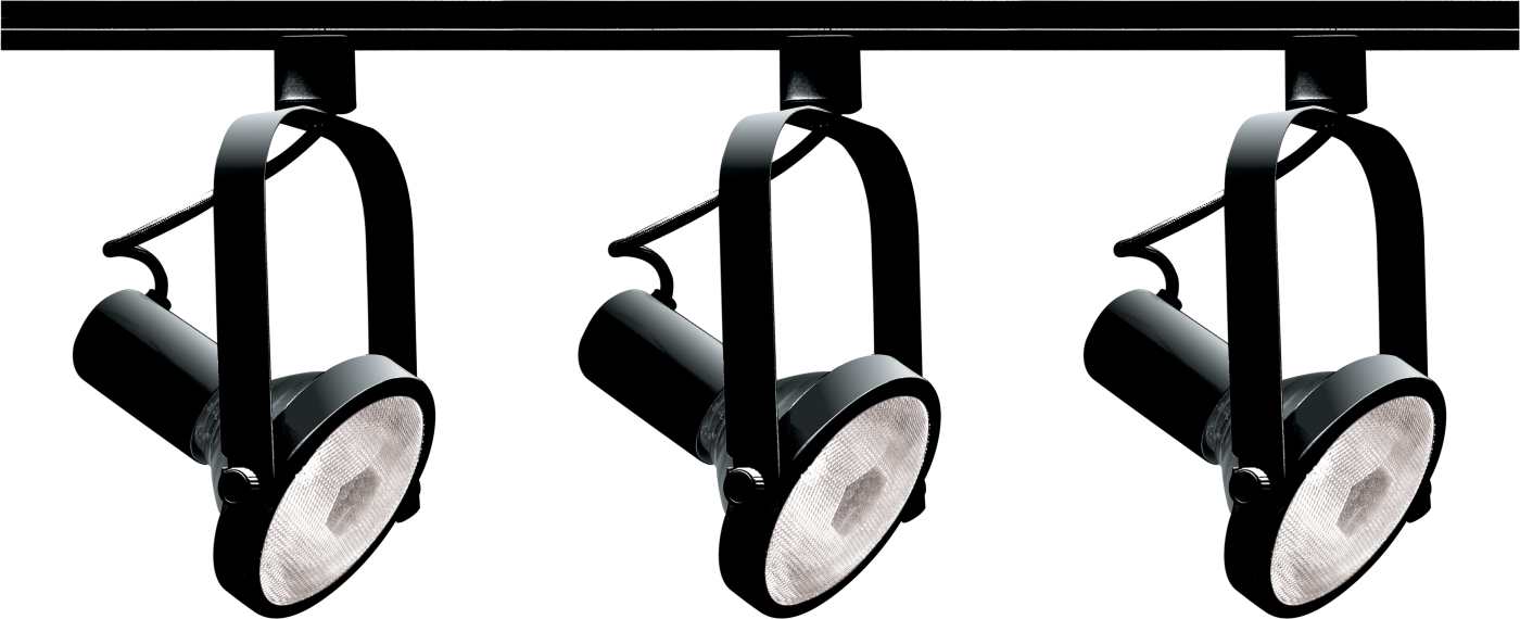 BLACK PAR30 GIMBAL RING TRACK - TK317