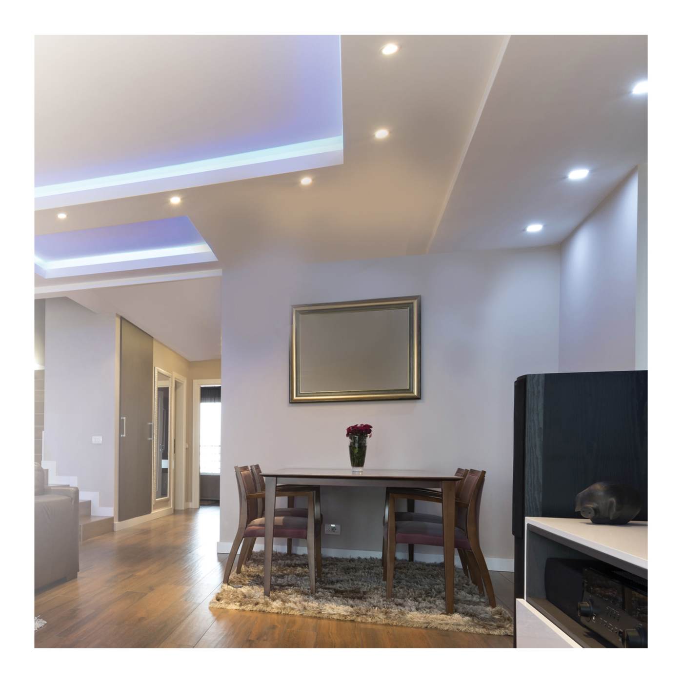 9WLED/RDL/5-6/CCT-SEL/120V/BL - S11835