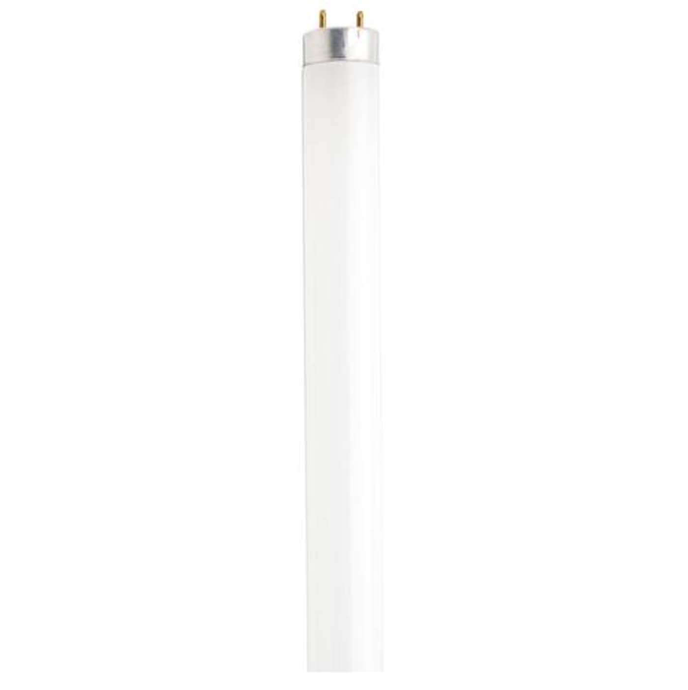 F32T8/841/XP/ECO #21767 - S2917