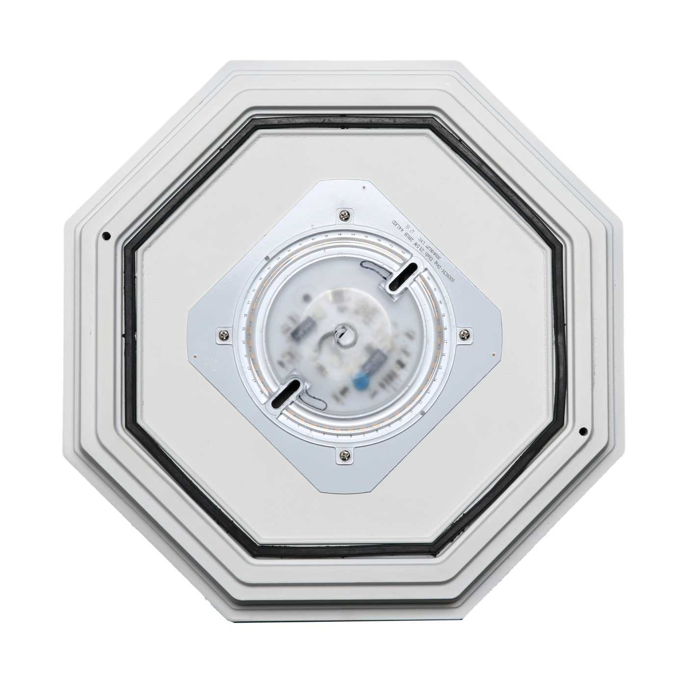 LED SPIDER CAGE - 62-1420