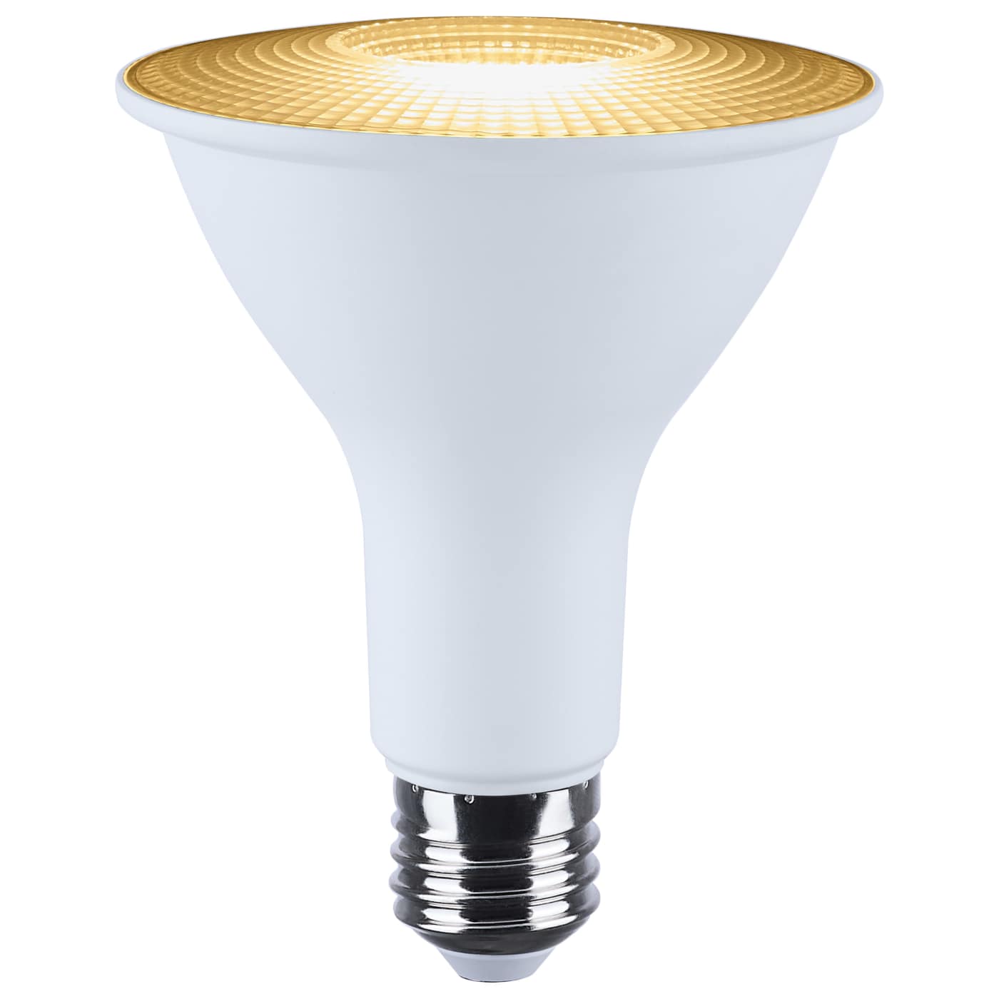PAR30/12.5W/LED/RGBTW/SF - S11107