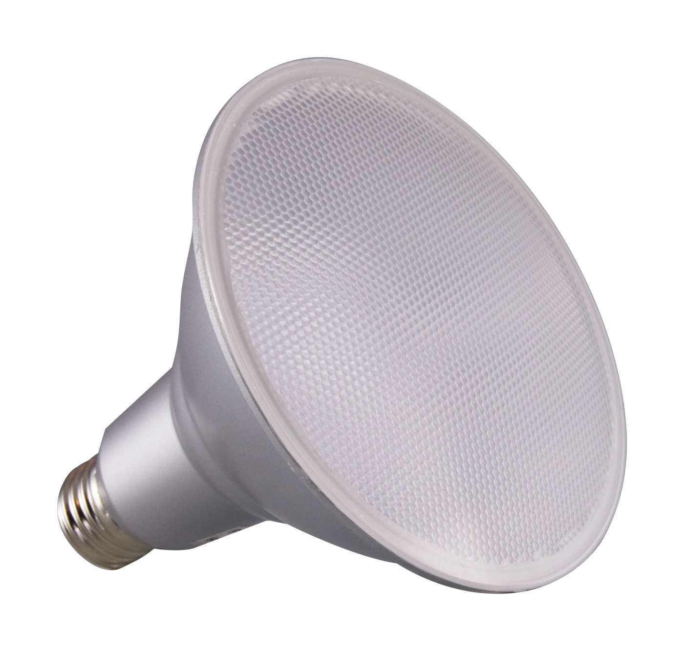 15PAR38/LED/25'/940/120V - S29443