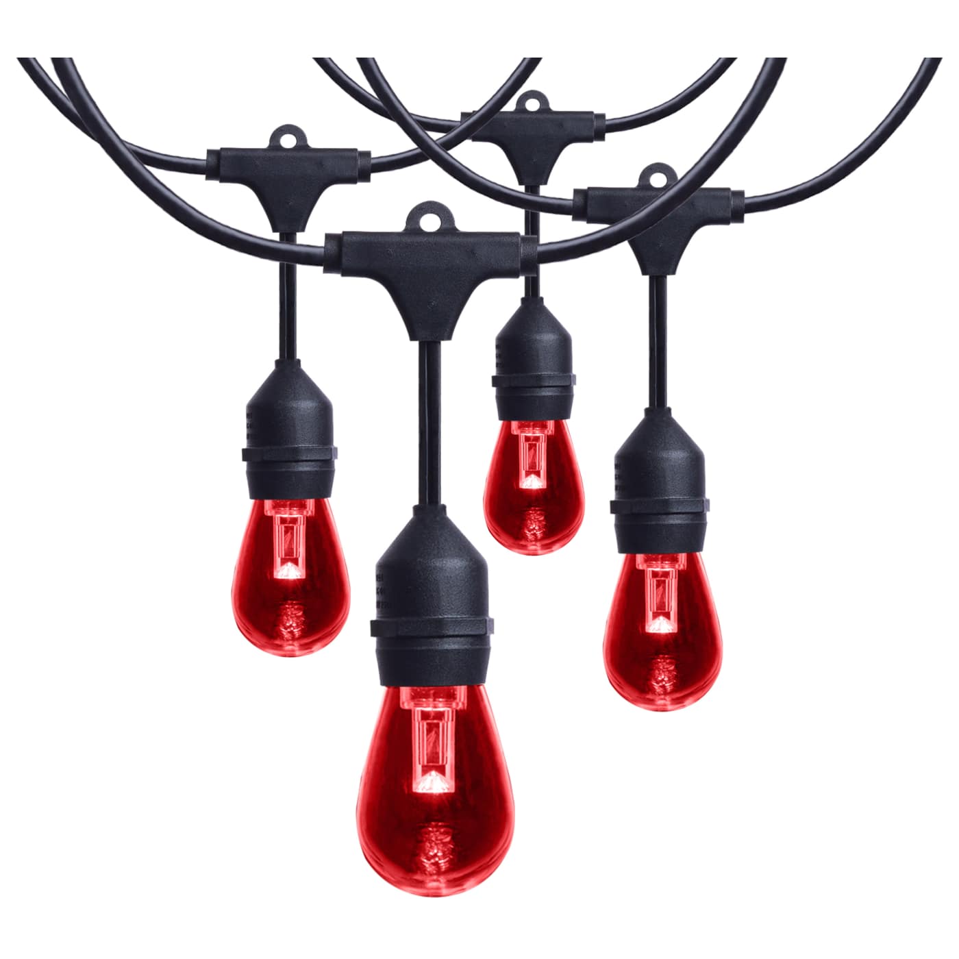 24FT/LED/SL/S14/IRR/RGBTW/120V - S8031R1
