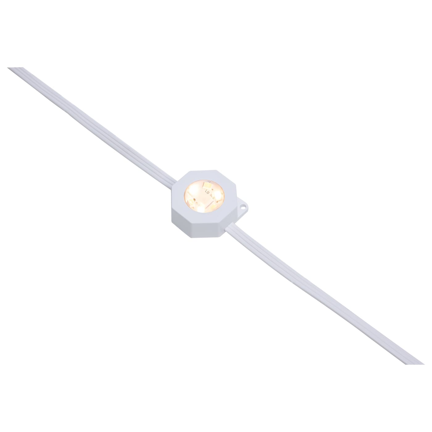50FT/36LED/PSL/SF/RGBTWIC - S11297
