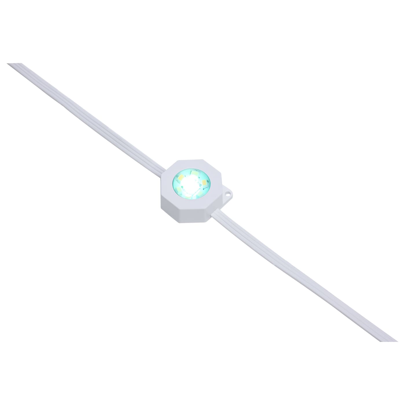 100FT/72LED/PSL/SF/RGBTWIC - S11298