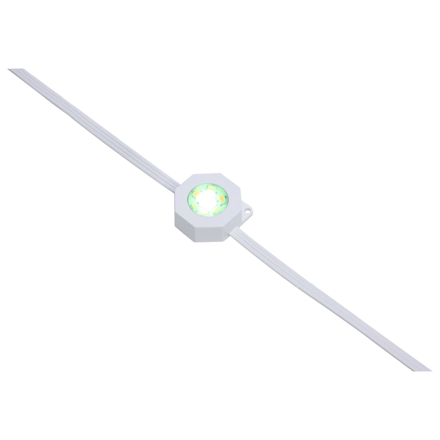 25FT/18LED/PSL/EXT/SF/RGBTWIC - S11299