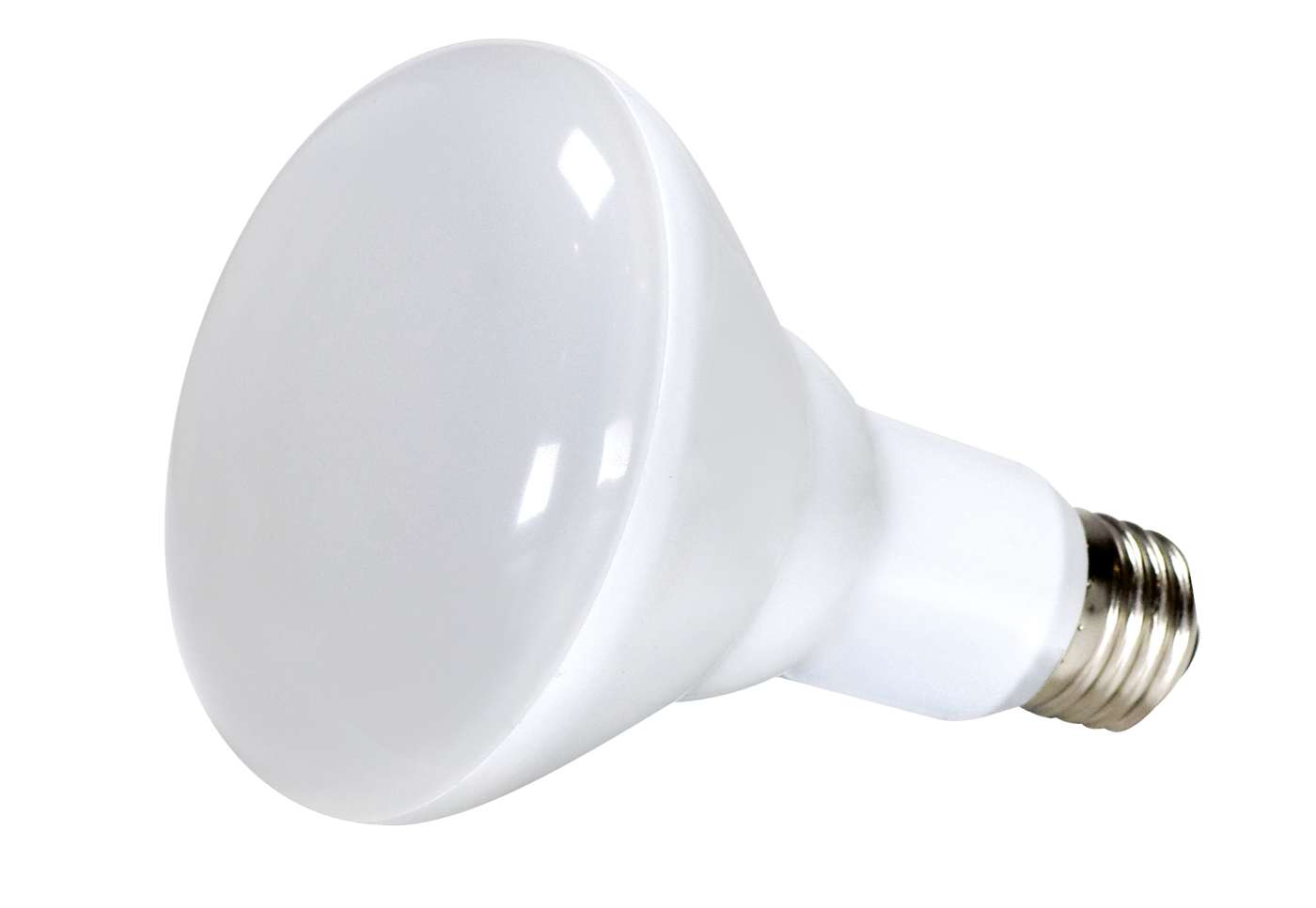 10BR30/LED/2700K/700L/120V/D - S9628