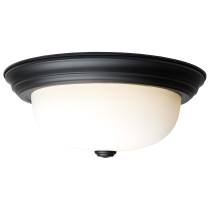 2 LT - 13" FLUSH FIXTURE - 60-128