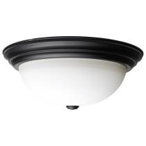 3 LT - 15" FLUSH FIXTURE - 60-129