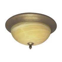 VANGUARD 3 LT FLUSH FIXTURE - 60-146