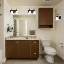 DUPONT 2 LT VANITY FIXTURE - 60-1853