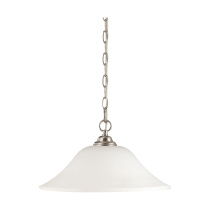 DUPONT ES 1 LT HANGING DOME - 60-1909