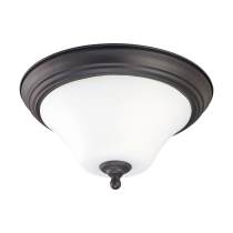 DUPONT ES 2 LT 15" FLUSH FXTRE - 60-1926