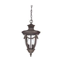PHILIPPE 2 LT HANGING LANTERN - 60-2048