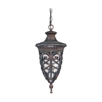 ASTON 1 LT HANGING LANTERN - 60-2058