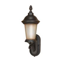 CLARION ES 3 LT WALL LANTERN - 60-2501