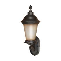 CLARION ES 3 LT WALL LANTERN - 60-2502
