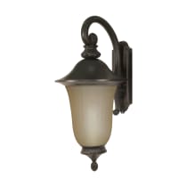 PARISIAN ES 3 LT WALL LANTERN - 60-2508