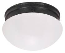 2 LIGHT 10" MUSHROOM FLUSH - 60-2643