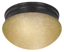 2 LIGHT 10" MUSHROOM FLUSH - 60-2644