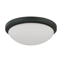 BUTTON ES 1 LT 11" FLUSH - 60-2942