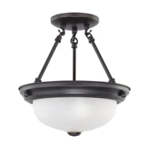 2 LIGHT ES 11" SEMI-FLUSH - 60-3338