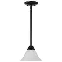 CASTILLO 1 LT MINI PENDANT - 60-386