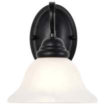 CASTILLO 1 LT VANITY FIXTURE - 60-387