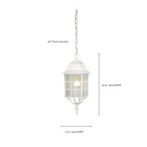 ADAMS 1 LGT OUTDOOR HANGING - 60-4911