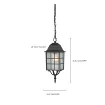 ADAMS 1 LGT OUTDOOR HANGING - 60-4913
