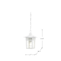 COVE NECK 1 LGT OUTDOOR HANG - 60-4954