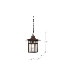COVE NECK 1 LGT OUTDOOR HANG - 60-4955