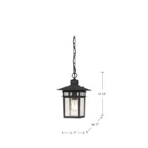 COVE NECK 1 LGT OUTDOOR HANG - 60-4956