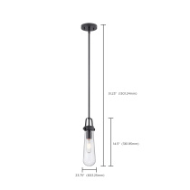 BEAKER 1 LIGHT MINI PENDANT - 60-5362