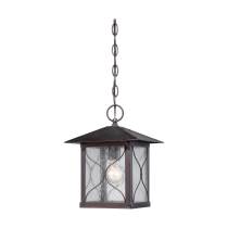 VEGA 1 LT OUTDOOR HANGING - 60-5614