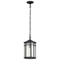 RAIDEN 1LT OUTDOOR HANGING - 60-5759