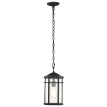 RAIDEN 1LT OUTDOOR HANGING - 60-5759