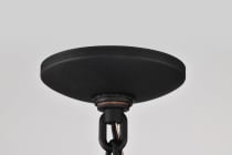 RAIDEN 1LT OUTDOOR HANGING - 60-5759