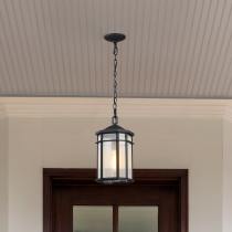 RAIDEN 1LT OUTDOOR HANGING - 60-5759